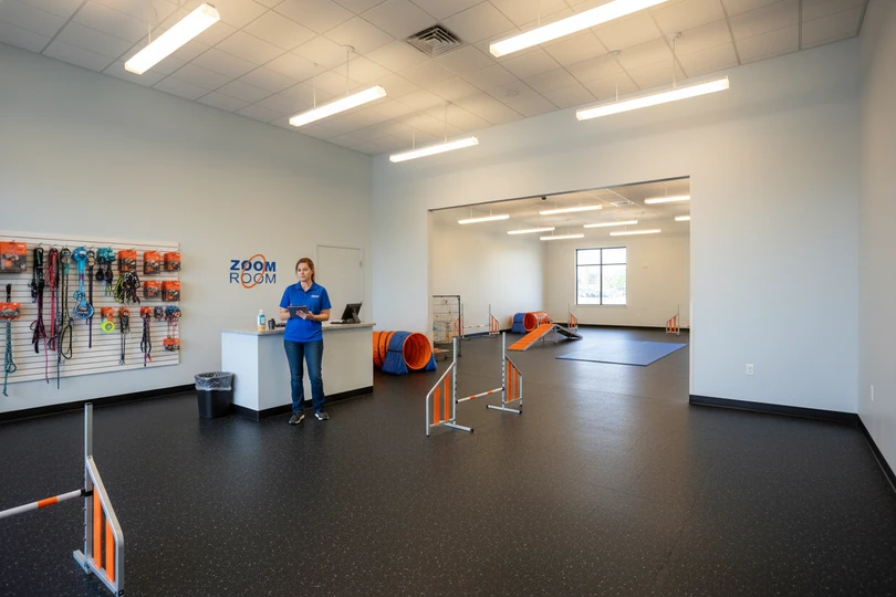 Dog training franchise opportunity in Amarillo, TX