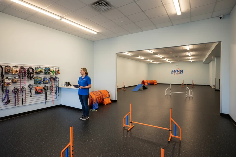 Dog training franchise opportunity in Casper, WY