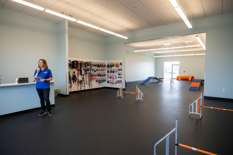 Dog training franchise opportunity in Charlotte, NC