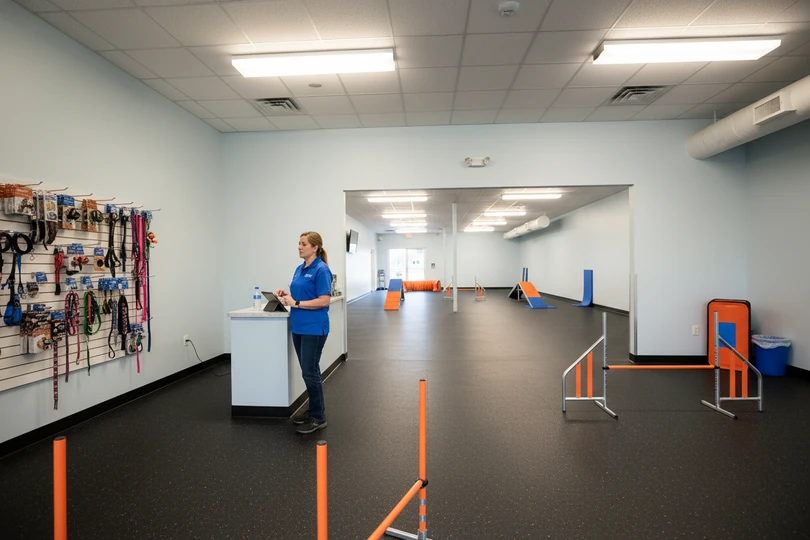 Dog training franchise opportunity in Chattanooga, TN