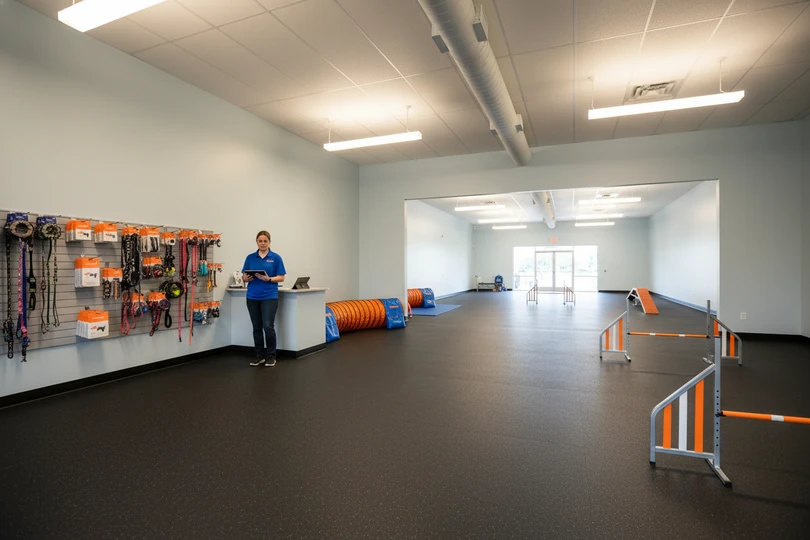 Dog training franchise opportunity in Cumberland, MD