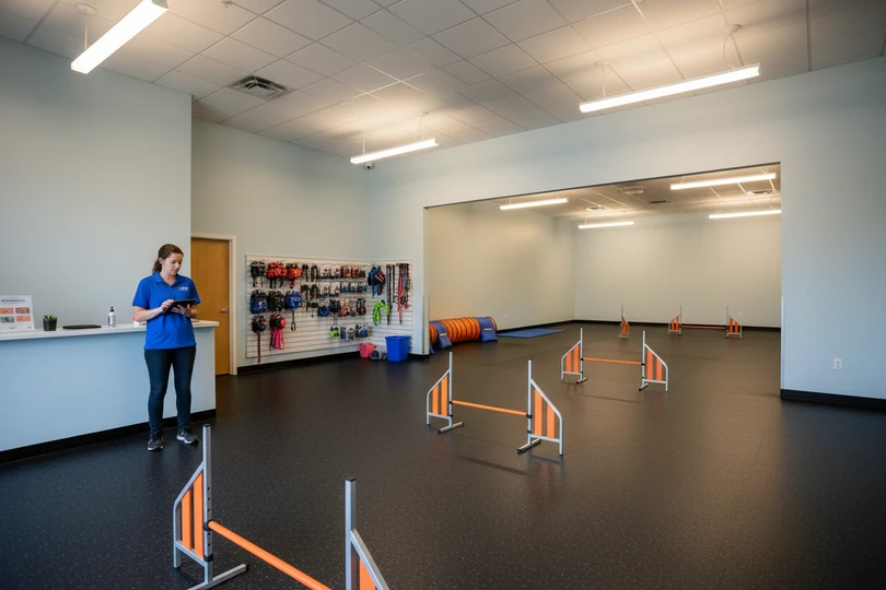Dog training franchise opportunity in Durango, CO