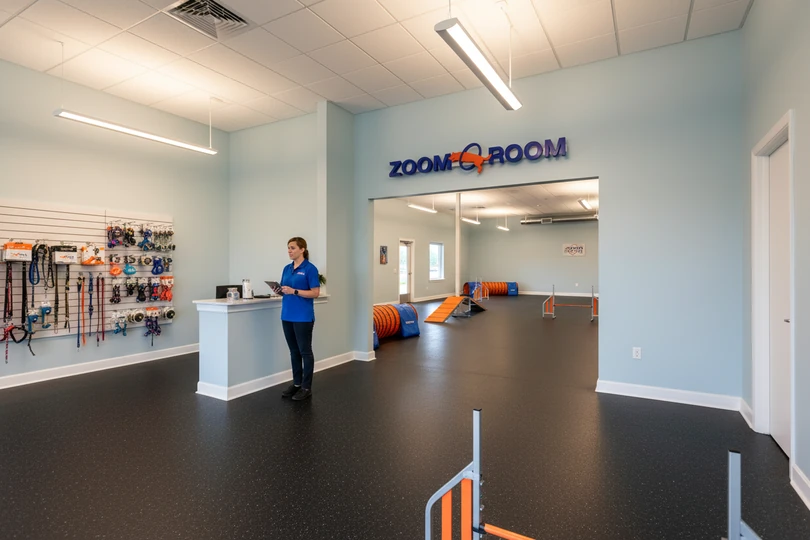 Dog training franchise opportunity in Dyersburg, TN