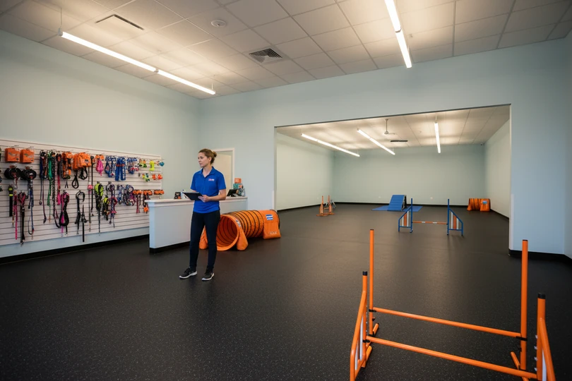 Dog training franchise opportunity in Escanaba, MI
