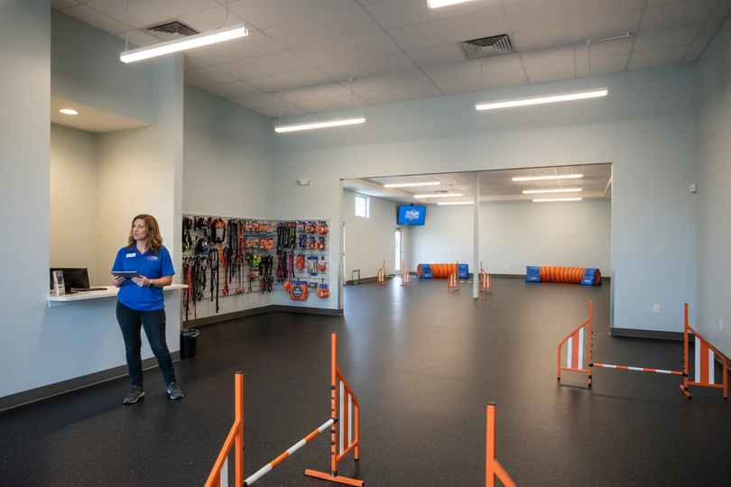 Dog training franchise opportunity in Eureka, CA
