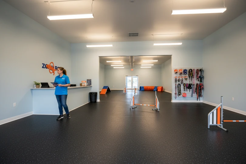 Dog training franchise opportunity in Evansville, IN