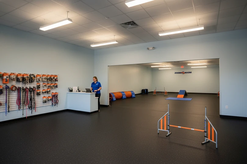 Dog training franchise opportunity in Fergus Falls, MN