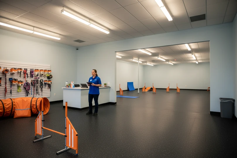 Dog training franchise opportunity in Fort Collins, CO