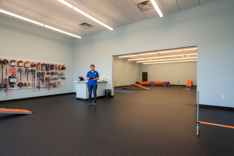 Dog training franchise opportunity in Glens Falls, NY