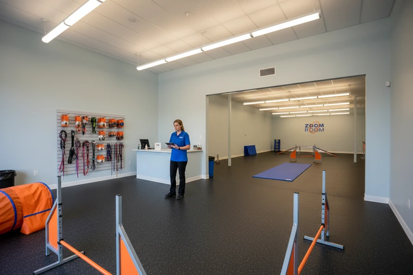 Dog training franchise opportunity in Grand Rapids, MI