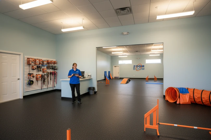 Dog training franchise opportunity in Greensboro, NC