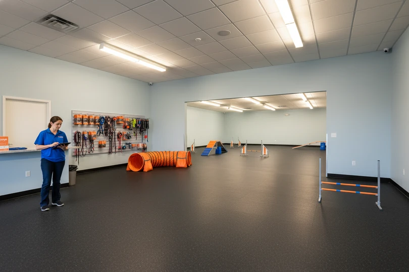 Dog training franchise opportunity in Harrisburg, PA