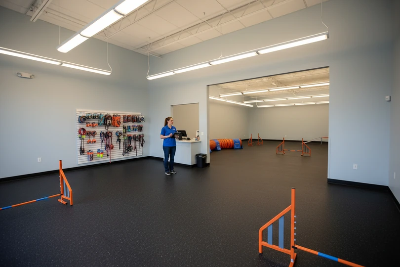 Dog training franchise opportunity in Helena, MT