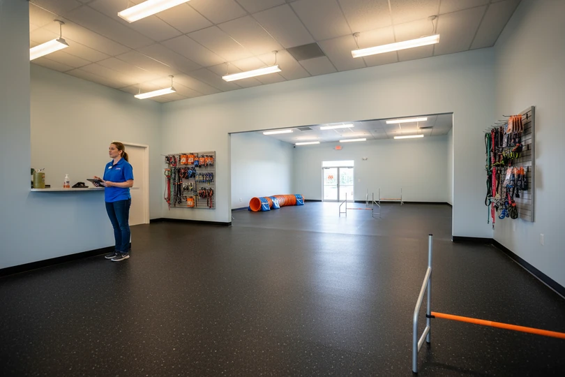 Dog training franchise opportunity in Kalispell, MT