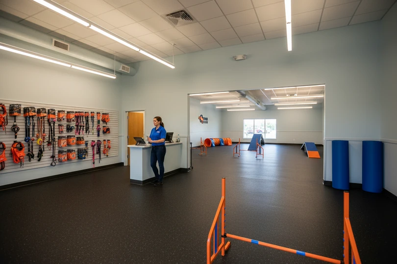 Dog training franchise opportunity in Kingston, NY