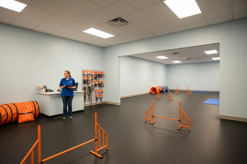 Dog training franchise opportunity in Lakeland, FL