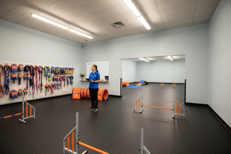 Dog training franchise opportunity in Laurel, MS