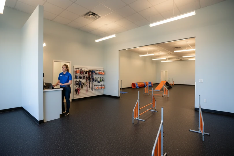Dog training franchise opportunity in Lebanon, TN