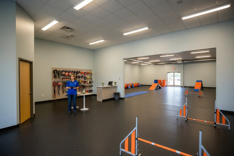 Dog training franchise opportunity in Marshalltown, IA