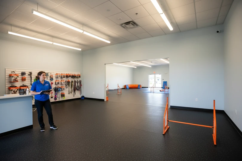 Dog training franchise opportunity in Merrill, WI