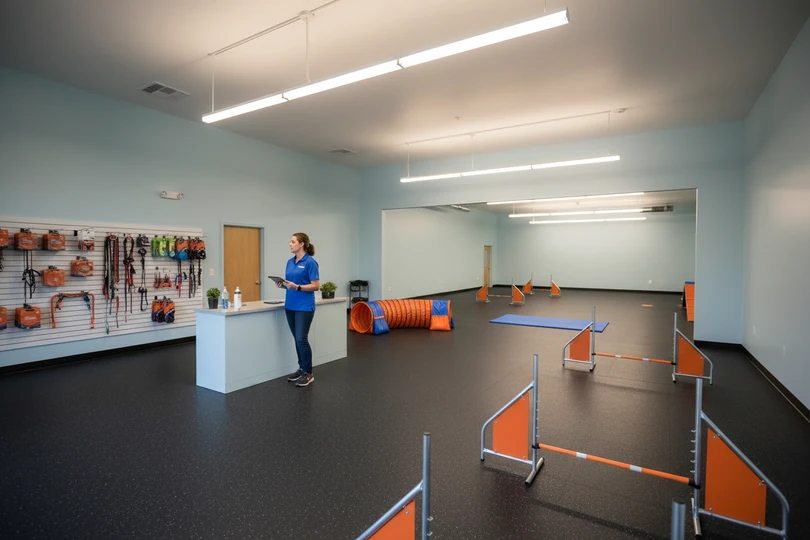 Dog training franchise opportunity in Minneapolis, MN