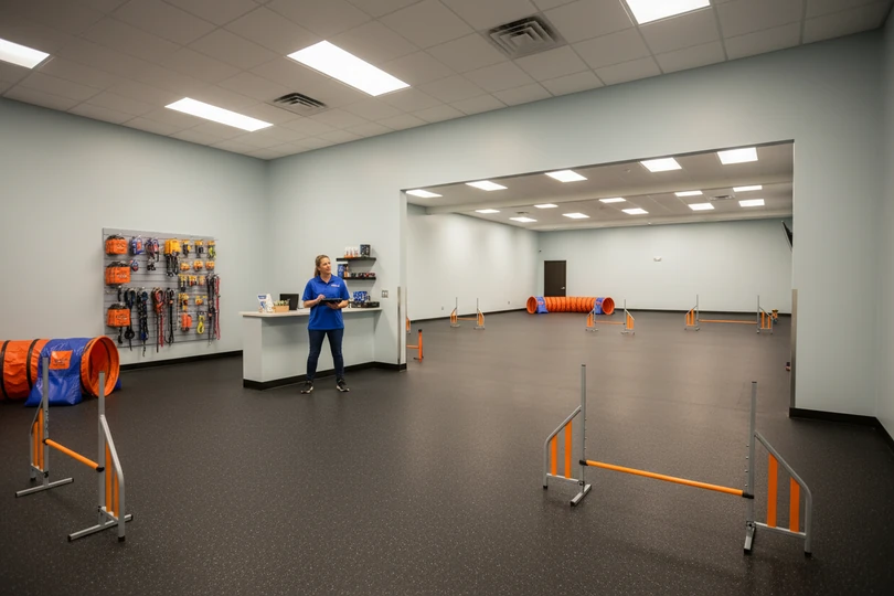 Dog training franchise opportunity in Montgomery, AL