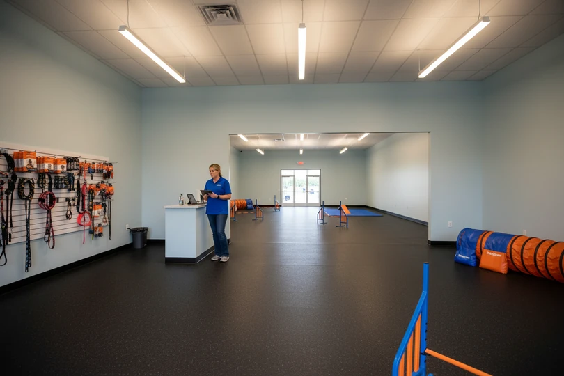 Dog training franchise opportunity in Montrose, CO