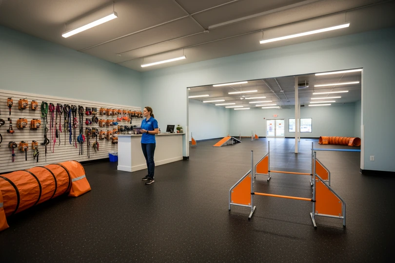 Dog training franchise opportunity in Newark, OH