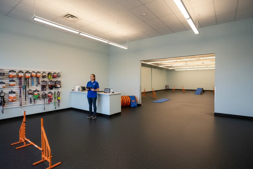 Dog training franchise opportunity in Olympia, WA
