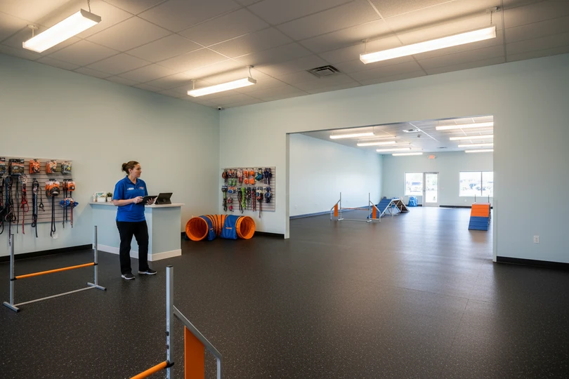 Dog training franchise opportunity in Panama City, FL