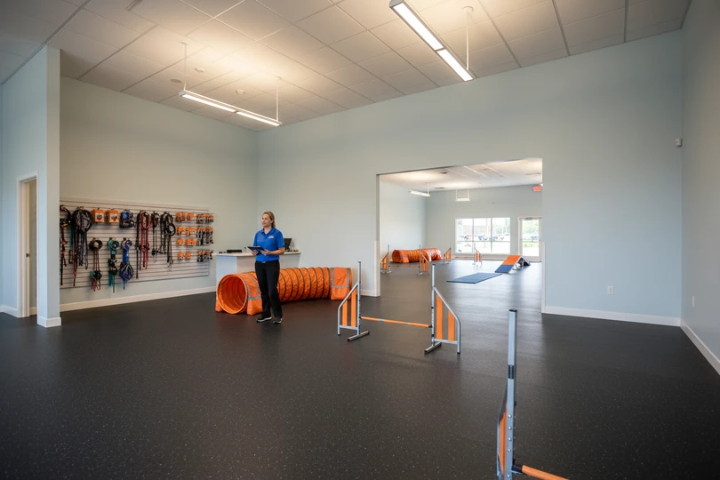 Dog training franchise opportunity in Parkersburg, WV
