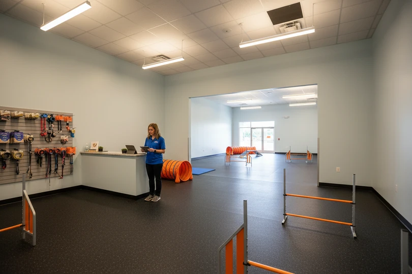 Dog training franchise opportunity in Prescott, AZ