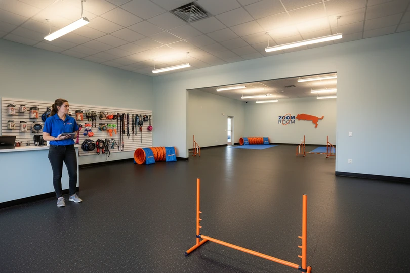 Dog training franchise opportunity in Raleigh, NC