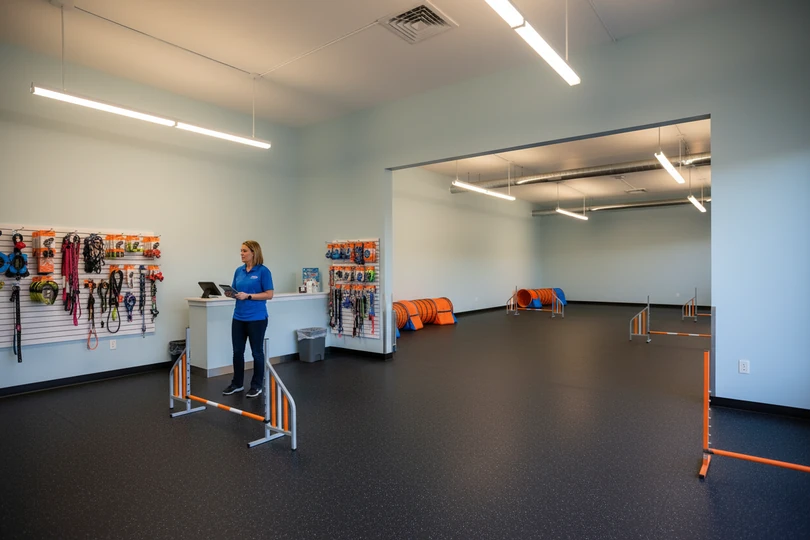 Dog training franchise opportunity in Rutland, VT