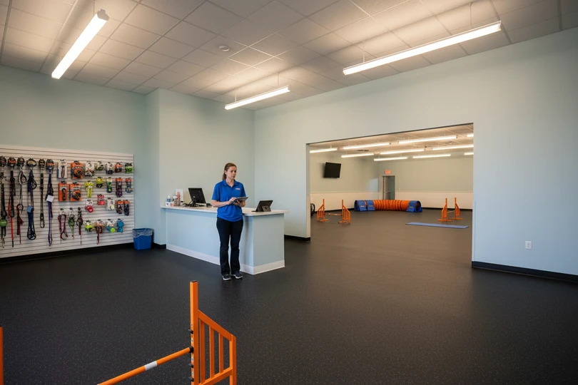 Dog training franchise opportunity in Salem, OR