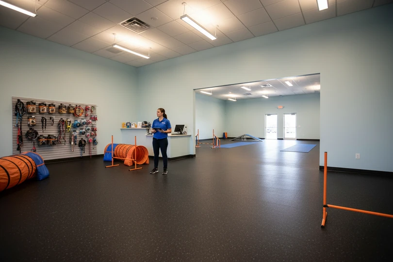 Dog training franchise opportunity in Santa Maria, CA