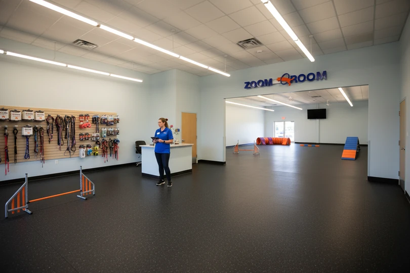Dog training franchise opportunity in Springfield, MA