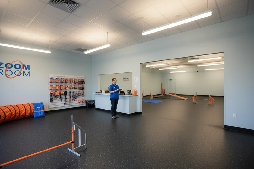 Dog training franchise opportunity in Springfield, MO