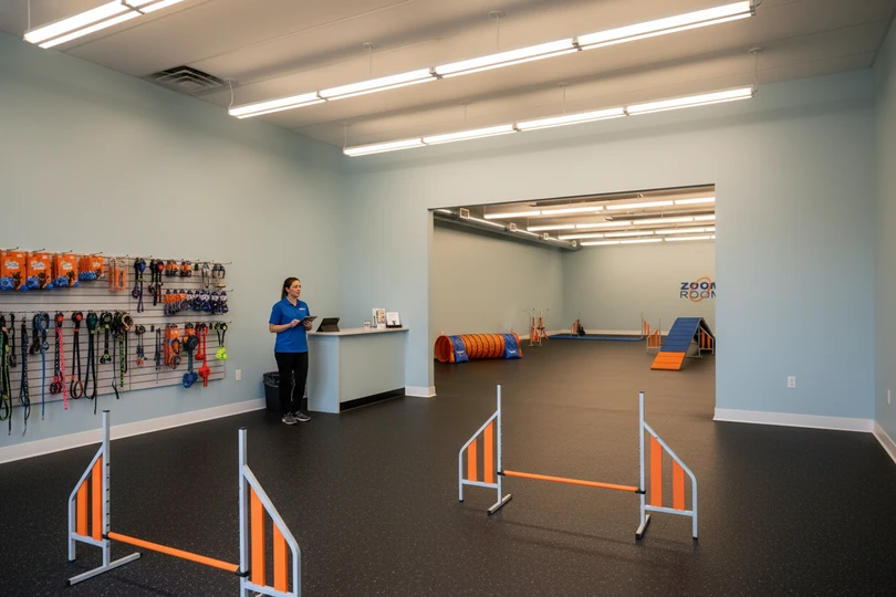 Dog training franchise opportunity in St. Louis, MO