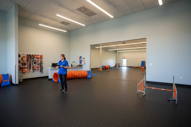 Dog training franchise opportunity in Sterling, CO