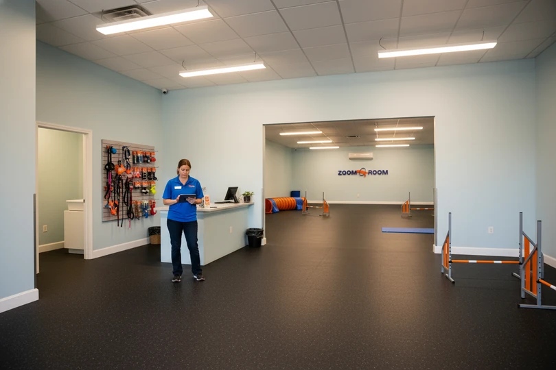 Dog training franchise opportunity in Tampa, FL