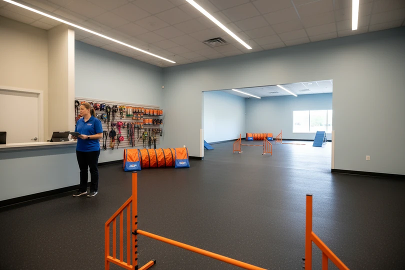 Dog training franchise opportunity in Warwick, RI