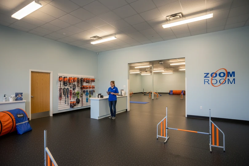 Dog training franchise opportunity in Waterloo, IA