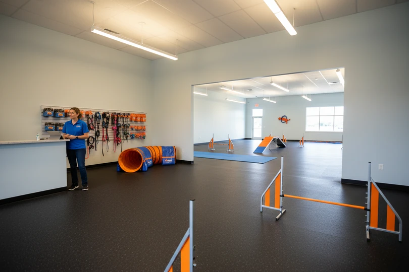 Dog training franchise opportunity in Winston-Salem, NC
