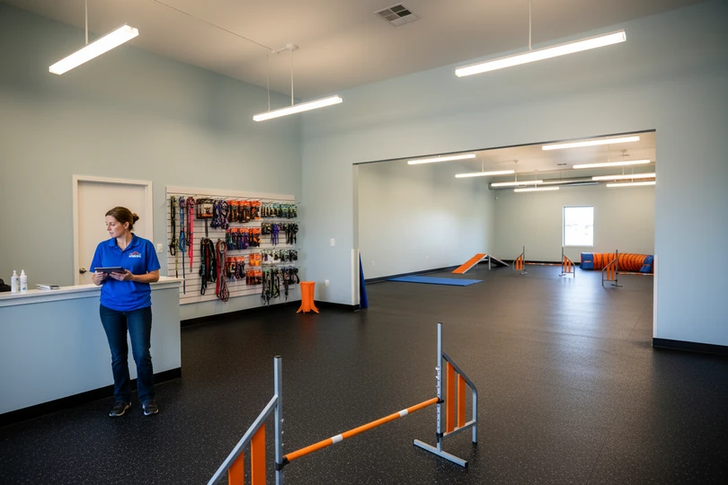 Dog training franchise opportunity in Yuba City, CA