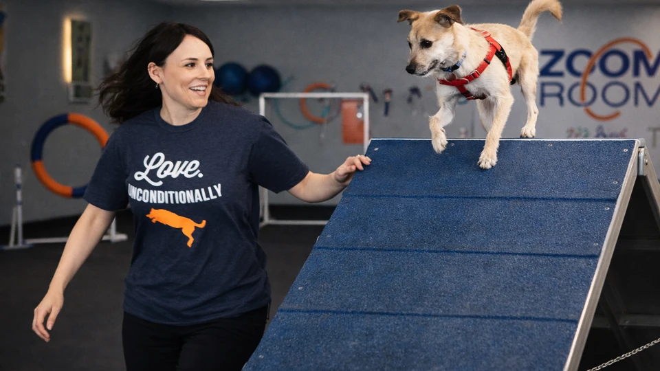 Can You Make Six Figures Owning a Dog Training Business?