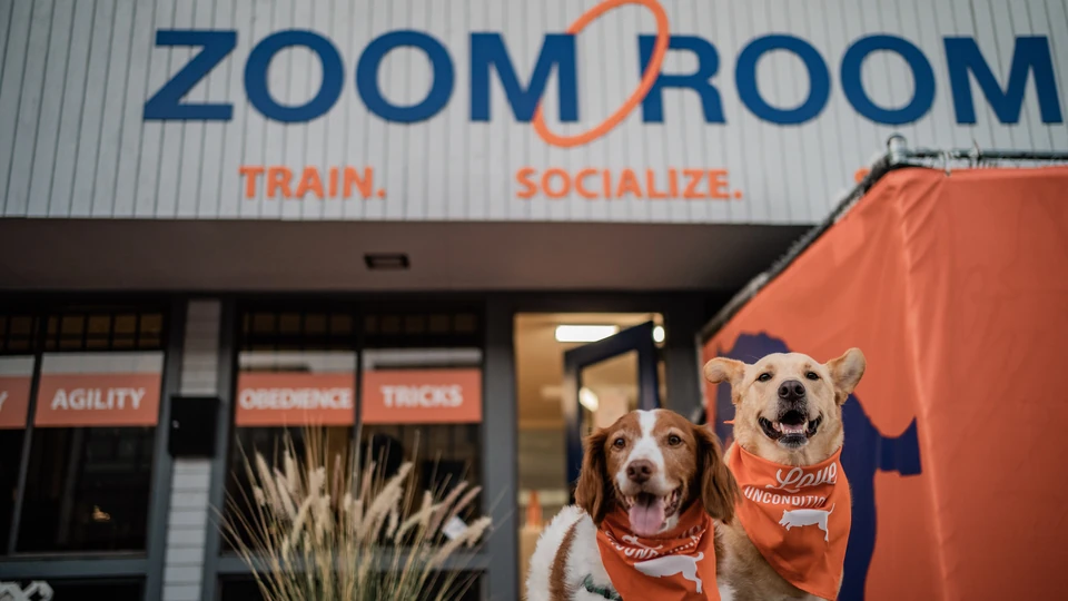Zoom Room Franchise Review: An Honest Assessment of Strengths and Considerations