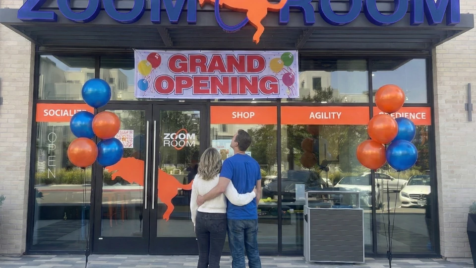 Zoom Room Franchise: A Comprehensive Overview of the Dog Training Franchise Opportunity